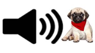 dog sound effect [upl. by Airamas]