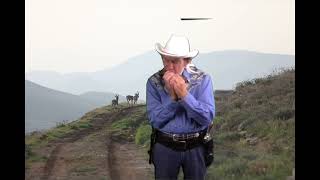 HARMONICA quot WESTERN SON ACCORDEON quot [upl. by Darci78]