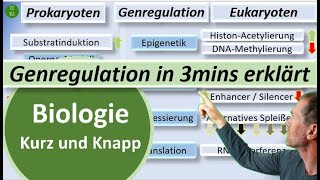 Genregulation bei Prokaryoten und Eukaryoten in 3mins erklärt  Biologie kurz und knapp  BioIxi [upl. by Nnaynaffit454]