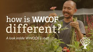 How is WWOOF different A look inside WWOOFs staff [upl. by Aviva202]