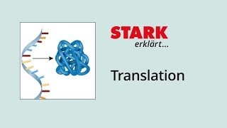 Translation Proteinbiosynthese  STARK erklärt [upl. by Dolphin134]