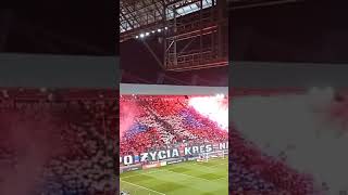 Wisla Krakow fans vs Nieciecza poland shorts footballpassion [upl. by Neeka576]