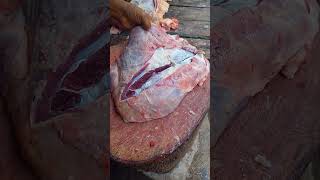 Attractive Beef Process Skills II BD Butchery [upl. by Reseda398]