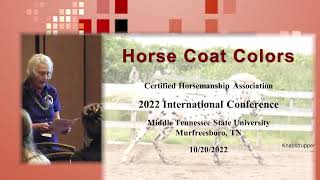 Horse Coat Colors Trailer [upl. by Madonna]