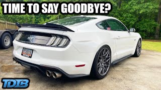 750HP Daily Driver Mustang GT Ownership Experience [upl. by Loren683]