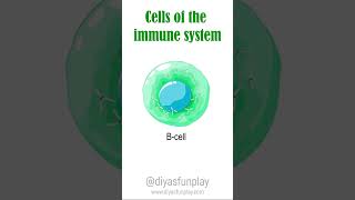 cells of the immune system  shorts  diyasfunplay [upl. by Bethesda]