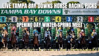 Live Tampa Bay Downs Horse Racing Picks  Opening Day WinterSpring Meet [upl. by Socram666]