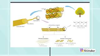 Nanocellulose as a Reinforcement Nanofiller in Epoxidized Natural Rubber Foam [upl. by Triny]