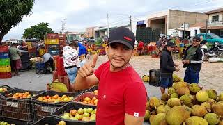 FEIRA NA CEASA DE TIANGUÁCE 1622024 [upl. by Vikky551]