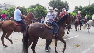 Cabalgata Horse Parade at the Feria de las Flores Flower Festival in Medellin Colombia [upl. by Corin608]