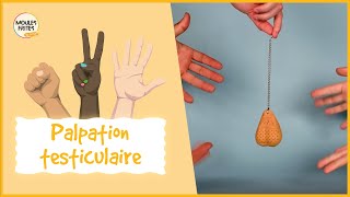 Coup de main 9  Palpation testiculaire [upl. by Nnazus]