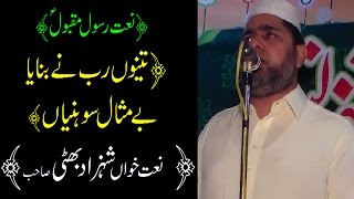 Tenu Rab Ny Beautiful Punjabi Naat by Shahzad Bhatti  Naat 2017 [upl. by Terrej383]