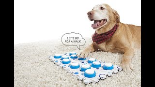 Recordable Pet Training Buttons [upl. by Demetre417]