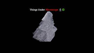 You Won’t Believe These Everyday Objects Under the Microscope amazingscience facts science [upl. by Candy270]