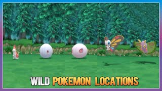 Pokémon BDSP  WurmpleSilcoonCascoonBeautifly amp Dustox Locations [upl. by Lleda638]