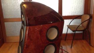 DIY Loudspeakers Accuton Drivers Digital DSP Active Crossover [upl. by Ecneret38]