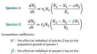 Modelling Interspecific Competition [upl. by Chiou]