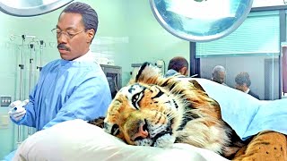 Dr Dolittle 2 Movie Explained in Hindi Urdu  Family Comedy Film summarized in हिन्दीاردو [upl. by Wendelina]