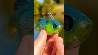 This Swimbait Catches BIG Fish… [upl. by Leimad]