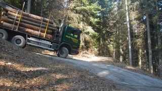 Holztransport im steilen Gelände [upl. by Anayik]