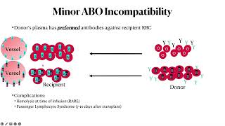 Transfusion Products for ABO Incompatible Allogeneic Stem Cell Transplants pathagonia [upl. by Seravat229]