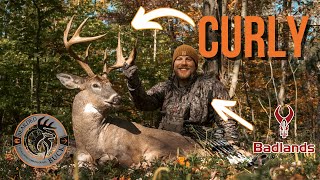 6 year old PA giant buck goes down  Curlys Curtain Call  The Bearded Buck [upl. by Bradwell638]