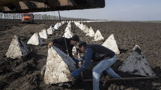 Letónia já começou a construção da quotLinha de Defesa do Bálticoquot [upl. by Gayleen]