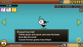 Crazed Cow Cat Unlocked  The Battle Cats [upl. by Riva106]