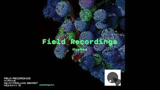 Field Recordings  Hyphae  02 Patrolling Secret Highway 15 [upl. by Saxe359]