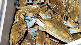 Crabbing 🦀 Bonnet Carre Spillway amp Lake Maurepas On Memorial Day Weekend 2022 [upl. by Anelim768]