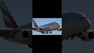 Plane spotting landing of A380 emirates airline  Los Angeles International Airport [upl. by Nosnarb726]