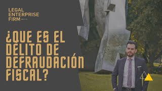 ¿Que es el Delito de defraudación fiscal  ¿Como se si lo estoy cometiendo  Lic Mario Reyna [upl. by Demitria462]