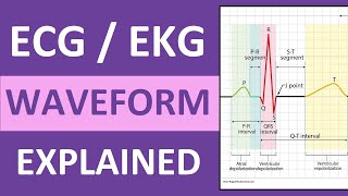 ECG Waveform Explained and Labeled  ECG Interpretation Nursing NCLEX [upl. by Arakal]