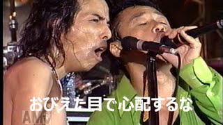 ｱﾂﾖｼ】 Hound Dog 「ﾗｽﾄ･ﾋｰﾛｰ（歌詞付き）」 夢の島FINAL 99 [upl. by Heyde]