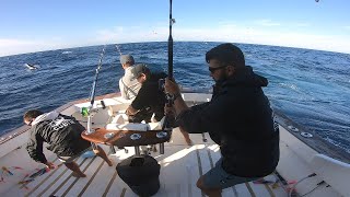 IFISH  Bermagui Marlin Madness [upl. by Angelica869]