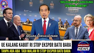 Industri EROPA Anjlok  Bikin GEGER Tanpa Aba Aba JOKOWI stop ESKPOR Batu Bara [upl. by Dotty]