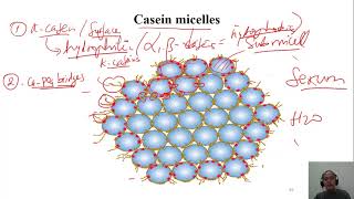 Properties of proteins  Protein Properties [upl. by Parnas187]