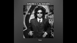 ANDRES CALAMARO  FLACA LETRA [upl. by Veta]