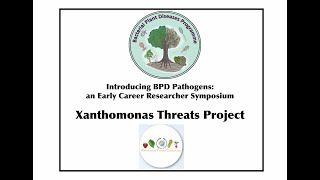 Introducing the Xanthomonas Threats Bacterial Plant Diseases Projectl [upl. by Dorena164]