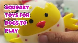 Squeaky Toy Dog Toy Sounds Squeaky Toys for Playful Pups [upl. by Dudden]