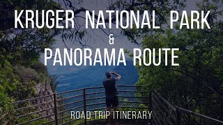 Kruger National Park amp Panorama Route Road Trip Itinerary [upl. by Elleirad714]