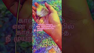 motivationalquotes morningquotes lifeadvice tamilquotes motivation lifelessons lifelines [upl. by Bunny]