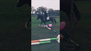 Oefenen met Cookie 🐴🩷 [upl. by Teresa]