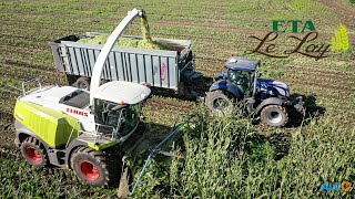 Une belle Team à lensilage de maïs 2020 I ETA LE LAY [upl. by Nauqan141]