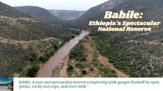 The Vast Spectacular Park of Babile  Erer amp Gobelle River Valleys  Ethiopia [upl. by Morgan]