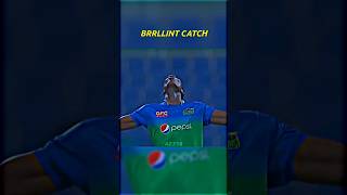 RIZWAN BRRLLINT CATCH 🥶 cricket shorts [upl. by Irihs121]