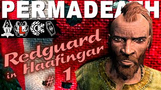 REDGUARD boy in HAAFINGAR  1  Skyrim AE Legendary Survival Permadeath [upl. by Erme]