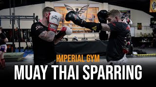 Technical Muay Thai Sparring at Imperial Gym [upl. by Mable]