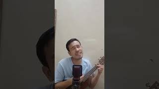 Lapna Tamnaraga ranbirthouna ukulele ukulelecover manipuri manipurisong ytshortsindia shorts [upl. by Oirogerg]