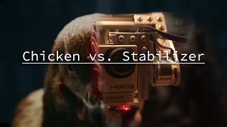 Chicken vs Stabilizer [upl. by Ehctav619]